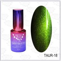 TARTISO AURORA TAUR-18 Гель лак 10 мл (магнитный гель лак 5D)