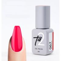 Гель-лак Ta2 / COLOR GEL POLISH №067