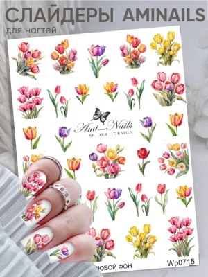 Слайдер Дизайн Ami_Nails wp0715