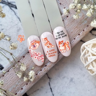 BPW.style Слайдер-дизайн Сиба-ину